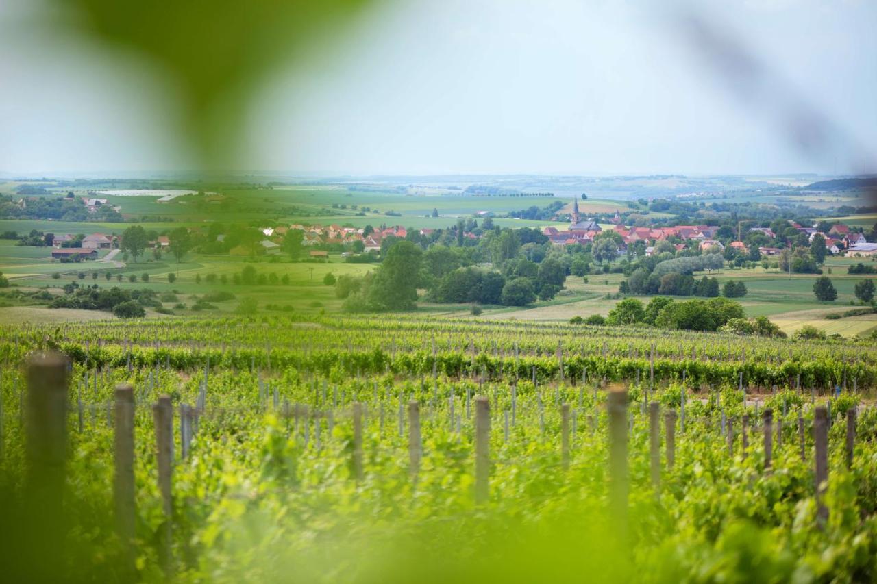 Hotel Weingut Schilling Seinsheim Exterior foto